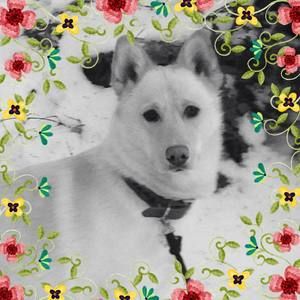 Meet your Posher, Daniela